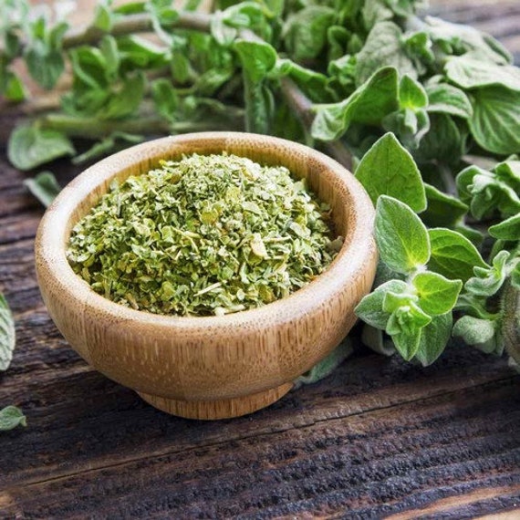 Oregano Italian Herb Seeds origanum Vulgare 200seeds Etsy