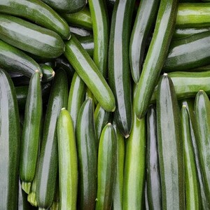 May include: A close-up of a pile of fresh, dark green zucchini. The zucchini are arranged in a random pattern, with some overlapping.