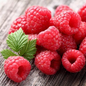 Red Raspberry Bush Seeds (Rubus idaeus) 25+ Seeds