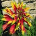 see more listings in the Flowers and Plants section