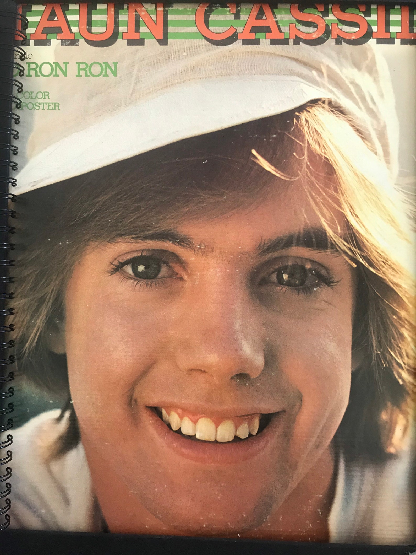 For the Shaun Cassidy Da Doo Ron Ron 1977 Teen Heart throb Etsy