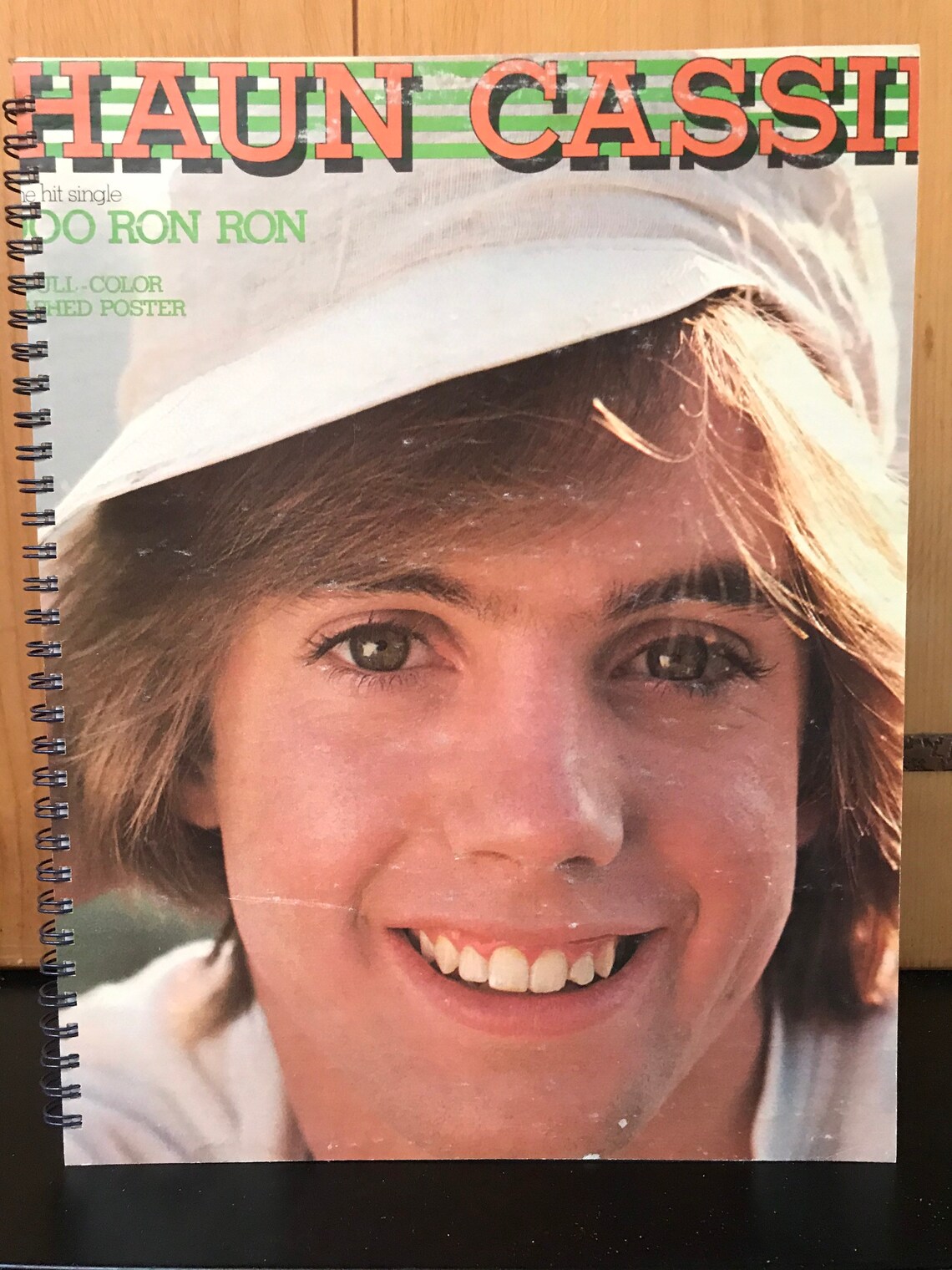 For the Shaun Cassidy Da Doo Ron Ron 1977 Teen Heart throb Etsy