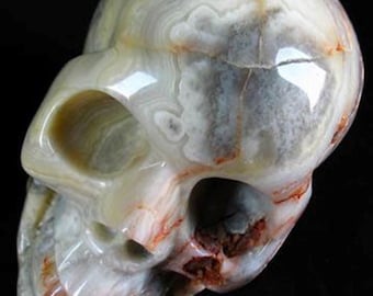 Crazy Lace Agate Skull name from river Achates 611
