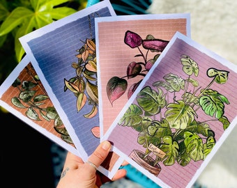 Personalised Botanical House Plant Art Print / Greeting Card