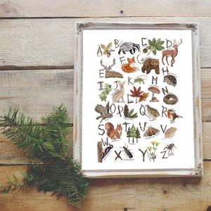 Wald Alphabet A-Z Kunstdruck