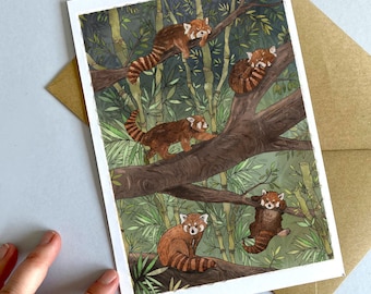Red Pandas & Bamboo Art Print / Greeting Card