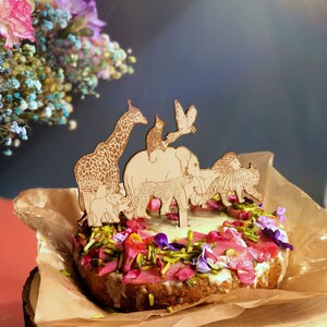 Wooden Celebration Cake Topper – Wild Animals