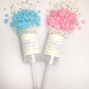 Twinkle Twinkle Little Star Gender Reveal Confetti Popper, Twinkle Twinkle Star Confetti Push Pop, Twinkle Twinkle Gender Reveal Decorations