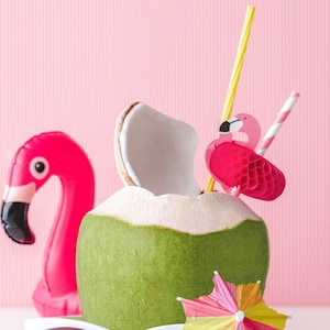 May include: A green coconut with a pink flamingo straw, a pink flamingo pool float, and a colorful paper umbrella. The coconut is on a white surface with a pink background.