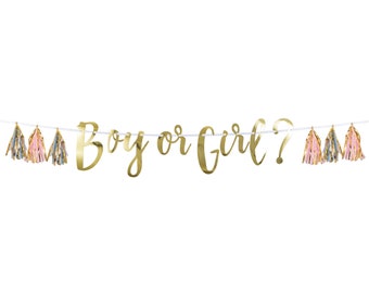 Gender Reveal Banner Boy or Girl Modern Stylish Gold Foil Garland with Tassel Fringe Baby Shower Pregnancy Announcement Party Decoration