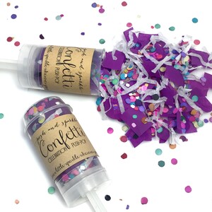 Lila Konfetti Push Pops, biologisch abbaubare Konfetti Partei gefallen, Push Pop Konfetti Party Popper, Regenbogen Konfetti Push Pop, Geburtstag Konfetti