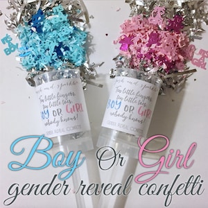 Sexe révèlent Popper, genre révèlent des idées, sexe révèlent garçon ou fille, genre révèlent confettis Party Poppers, genre révèlent Party Poppers