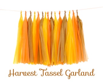 Tassel Garland in Neutral Colors Orange Brown Yellow Fringe Streamers Banner DIY KIT Autumn Thanksgiving Harvest Rustic Farmhouse Backdrop