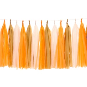 Tassel Garland in Fall Colors Orange Brown White Pastel Rustic Boho Fringe Farmhouse Mantel Decoration Thanksgiving Harvest Autumn