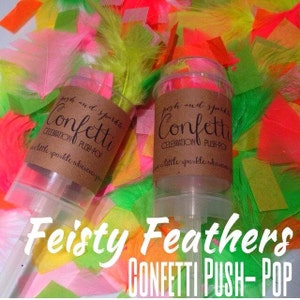 Neon Federn und Gewebe Konfetti Push Pop, Neon biologisch abbaubare Konfetti Party Popper, Push Pop Konfetti Partei gefallen, Neon Konfetti Popper
