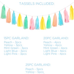 PASTEL TASSEL GARLAND Yellow Green Blue Fringe Banner Party Easter Egg Hunt Sweet Table Spring Garden Wall Decoration Diy Kit image 2