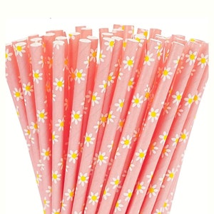 May include: A bundle of pink paper straws with a white daisy pattern.