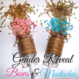 Konfetti Popper Gender Reveal Ideen, Er oder Sie Gender Reveal Konfetti Poppers, Junge oder Mädchen Gender Reveal Poppers, Konfetti für Gender Reveal