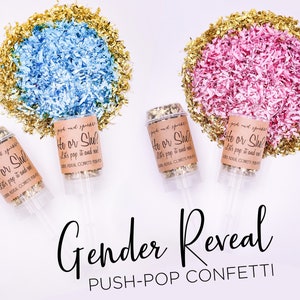 Él o ella pop para ver confeti poppers rosa azul dorado niño o niña pequeño empuje pop para revelar género suministro de fiesta confeti tirador