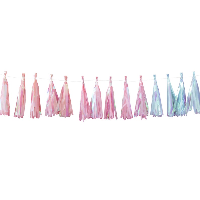 Tassel Garland Blue Iridescent Tassel Garland Pink Etsy