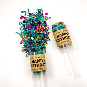 Op de afbeelding: Twee confetti push-pop buizen met bruine papieren etiketten waarop staat "posh and sparkle HAPPY BIRTHDAY CONFETTI PUSH-POP". De ene buis is gevuld met kleurrijk confetti, de andere is leeg. Het confetti valt uit de buis op een wit oppervlak.