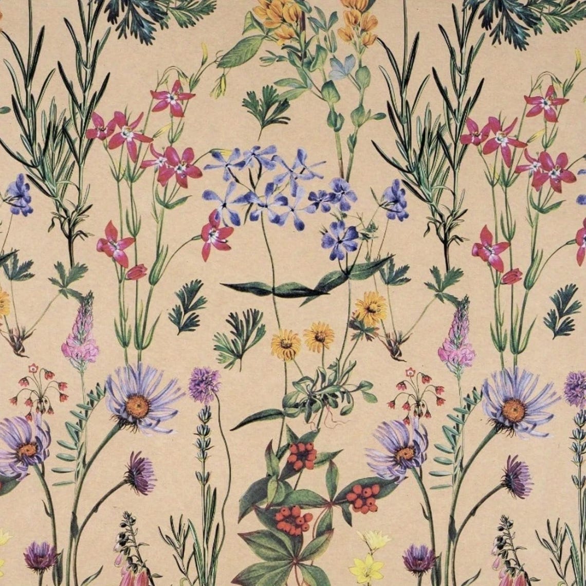 Botanical Wrapping Paper Roll Vintage Floral Gift Wrap Wildflower Kraft ...