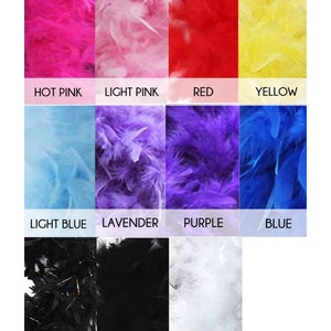 May include: A chart showing 10 different colors of feathers. The colors are: hot pink, light pink, red, yellow, light blue, lavender, purple, blue, black with gold tinsel, and white.