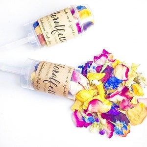 K&ouml;nnte beinhalten: Zwei transparente Konfettikanonen aus Kunststoff mit braunen Papierretikeln, auf denen "posh and sparkle" und "floral confetti" mit dem Text "nat&uuml;rliches Konfetti umweltfreundlich Feier Push-up" steht. Eine Kanone ist offen und l&auml;sst bunte Bl&uuml;tenbl&auml;tter herausfallen.