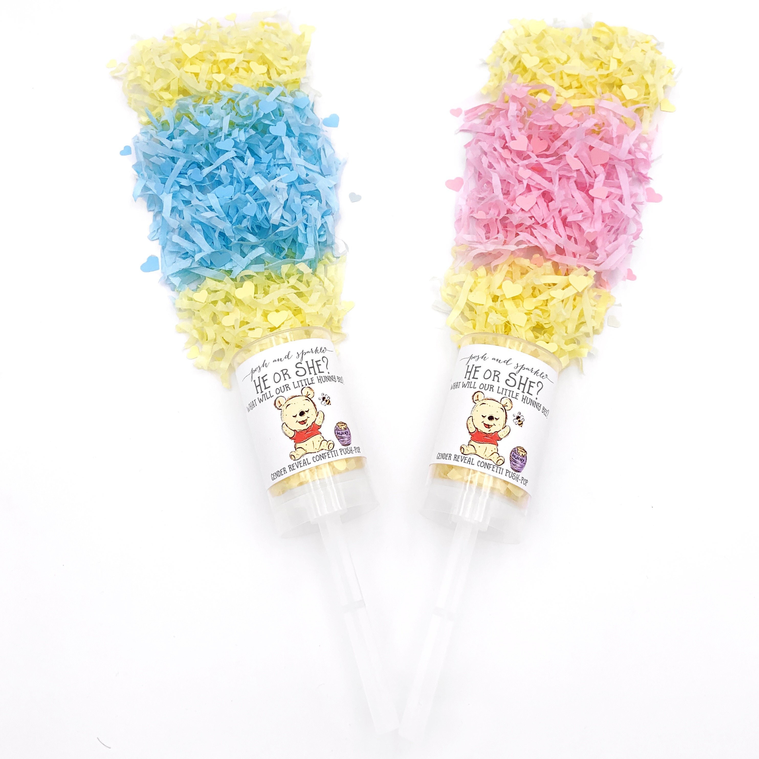 Gender Reveal Confetti Poppers Blue or Pink He or She Winnie The Pooh Cute Push Pops Child Friendly Surprise Party Popper