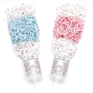 Baby Elefant Gender Reveal Konfetti Poppers Blau oder Pink Er oder Sie Niedlich Wildlife Safari Push Pops kinderfreundlich Überraschung Party Popper