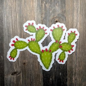 Prickly pear cactus sticker, hand drawn desert botanical design