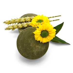 Hair balm Aloe Vera