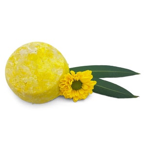 Shampoo Bar Vanilla