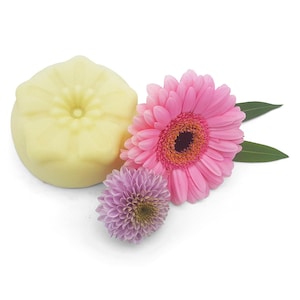 Nourishing body butter Green Tea - especially rich for dry skin - vegan, without palm oil and plastic-free