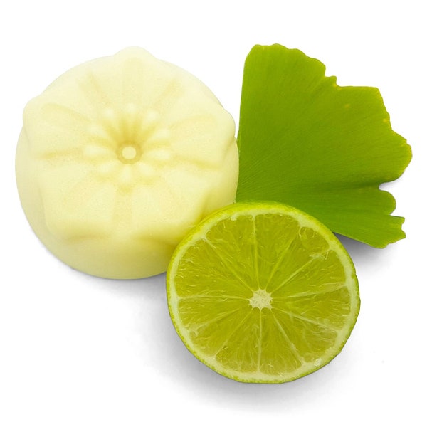 Nourishing Body Butter Ginkgo Lime - very rich for dry skin - vegan, plastic-free and without palm oil