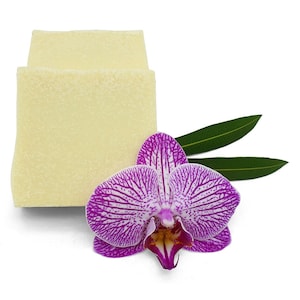 Savon capillaire au bois de santal – plus d&#39;hydratation et de brillance pour les cheveux secs