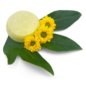 Shampoo Bar Green Tea