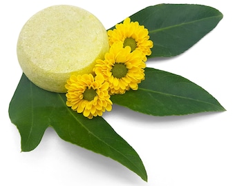 Shampoo Bar Green Tea