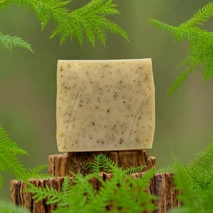Wild Herbal Soap - vegan, palm-free and without plastic