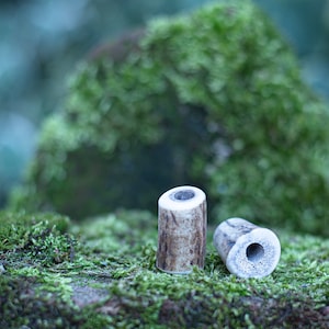 May include: Two small, cylindrical, bone-colored, antler-like objects with a hole in the center, sitting on a bed of green moss.
