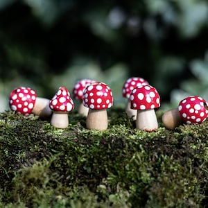 Pilz Dreadlock Perle, Dreadlock Accessoire, Naturholzperlen Waldperlen, Pilz, Boho Dreadperlen, Waldfee Haarschmuck