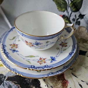 Puede incluir: Un juego de taza y platillo blancos con borde azul y diseño floral. La taza y el platillo tienen ribetes dorados. El juego está sobre una superficie con estampado floral.