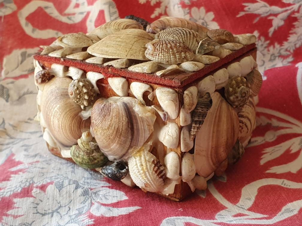 Magnifique Français Coquillage de Milieu Siècle Embelli Petit Boudoir Box, Exquis Oblong Souvenir Bo