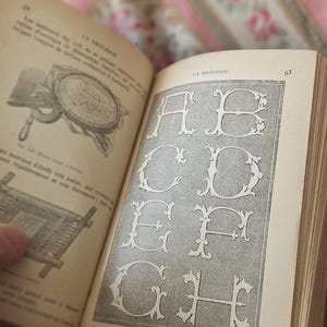 Compacte Petit antieke Franse Parijse geborduurde borduursels / Broderie Encyclopedia Des Ouvrages des Dames-Thérèse de Dillmont, Biblioteque D.M.C.