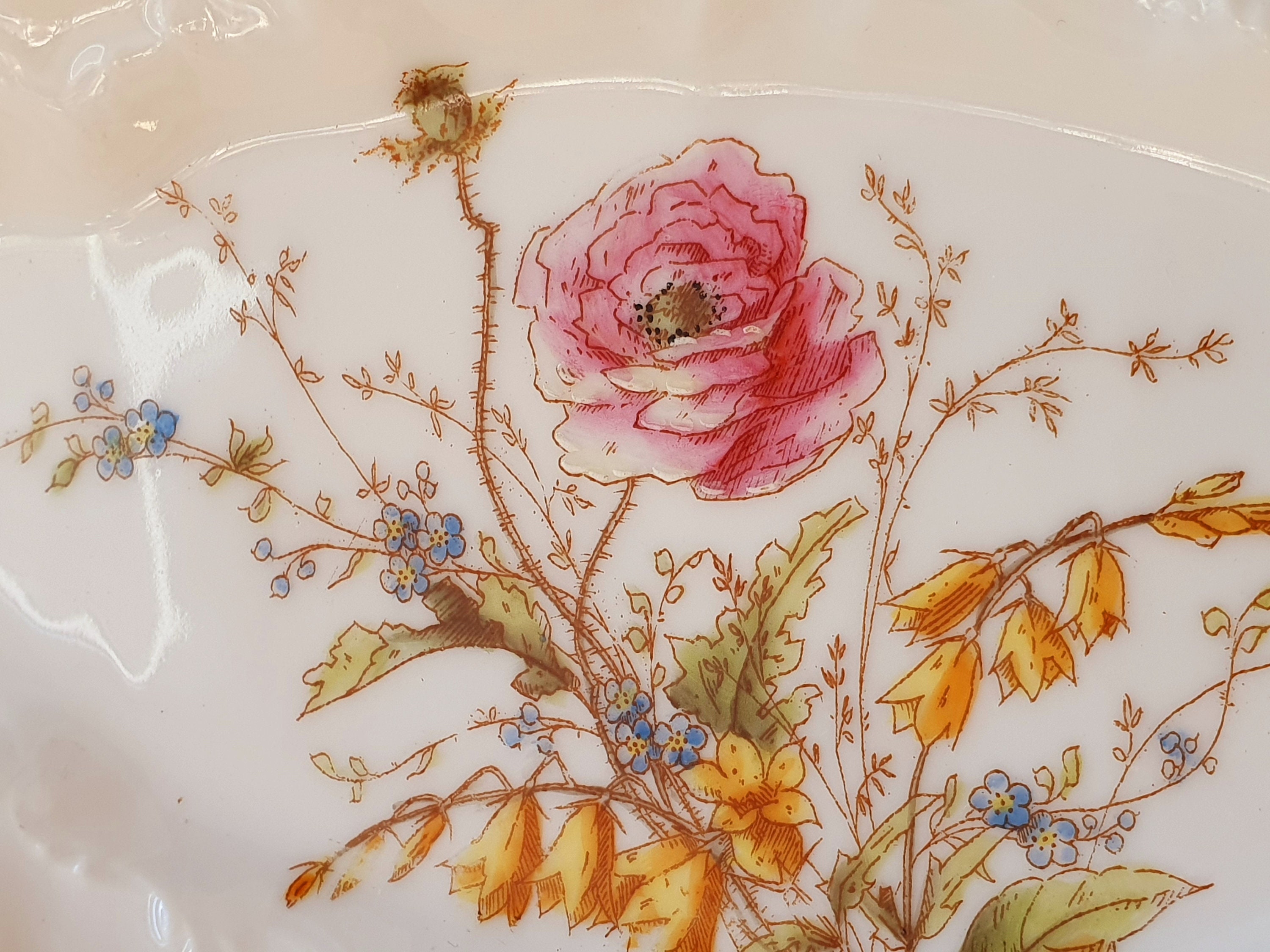 絶妙なアンティーク フランス アールヌーボー リモージュ磁器 野の花