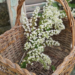 Unique Rustic Pretty Antique French Petit Basket or Panier-Rare Artisanal Handcrafted Small Size Gathering Basket-Sweet Cuisine Kitchenalia