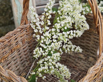 Unique Rustic Pretty Antique French Petit Basket or Panier-Rare Artisanal Handcrafted Small Size Gathering Basket-Sweet Cuisine Kitchenalia