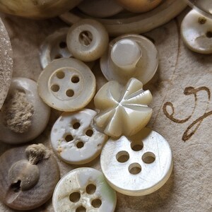 May include: A collection of white and off-white buttons with various designs and sizes. Some buttons have four holes, while others have a single hole. The buttons are arranged on a white surface.