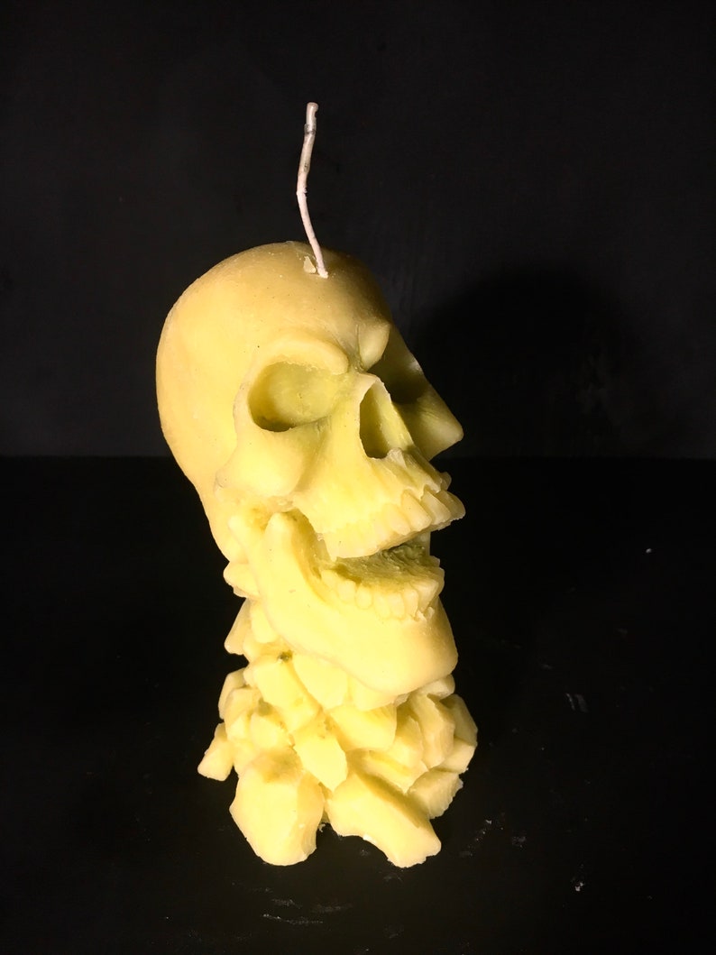 Skull candle/Candle/figure/sculpture/candle 3d/scented/gift/home decor/art design/design candle/fashionable candle/dog/art/deco/unique image 7
