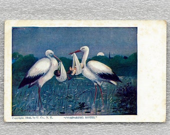 postcard illustration tinedegroote birth, stork, carrier bag